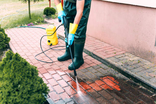 Best Building Exterior Washing  in Elmira, NY
